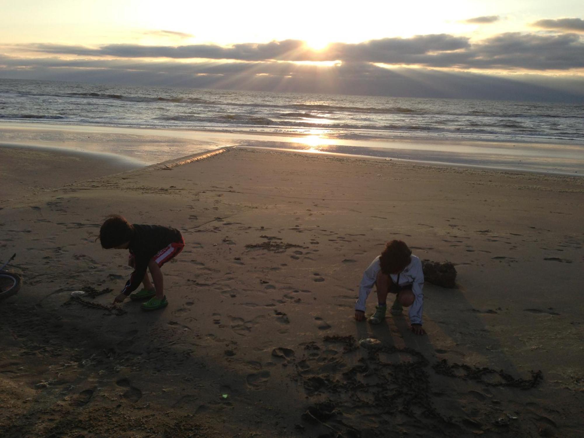 Beach Rose, 1 Free Parking, 2 Min. From Beach, Jacuzzi Noordwijk Luaran gambar